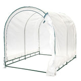 6inch X 8inch True  Shelter Green House